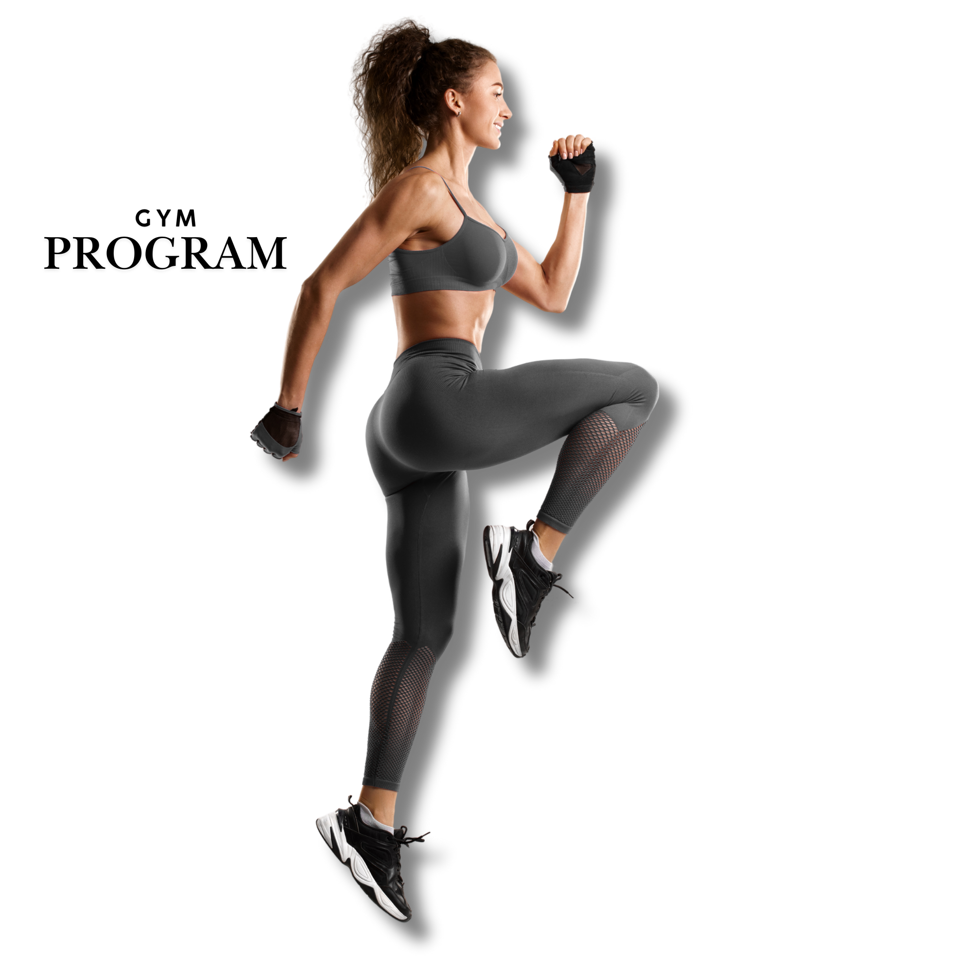 beginners guide to the gym female